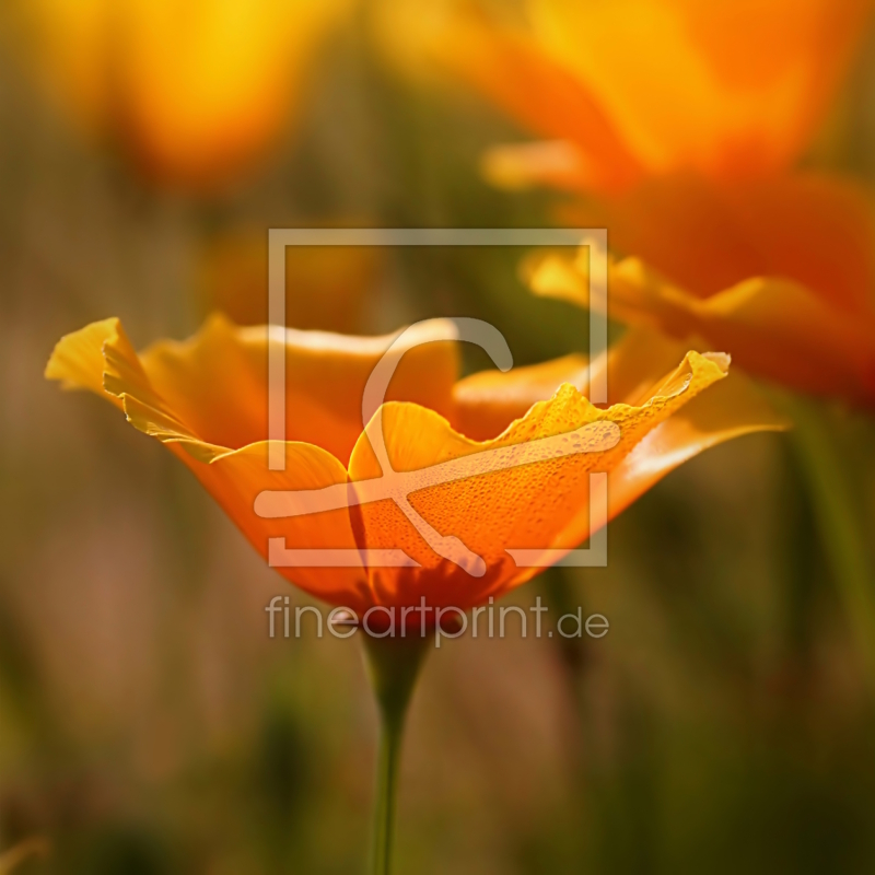 frei w&auml;hlbarer Bildausschnitt f&uuml;r Ihr Bild auf Untersetzer