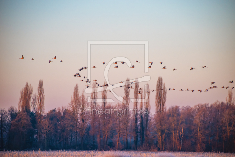 frei w&auml;hlbarer Bildausschnitt f&uuml;r Ihr Bild auf Untersetzer