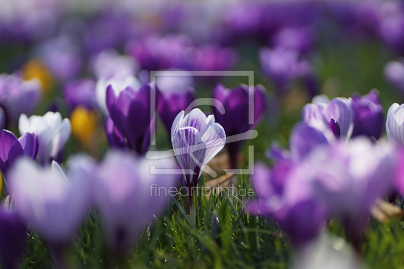 frei w&auml;hlbarer Bildausschnitt f&uuml;r Ihr Bild auf Untersetzer