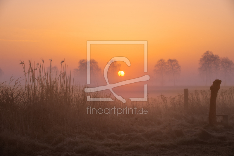 frei w&auml;hlbarer Bildausschnitt f&uuml;r Ihr Bild auf Untersetzer