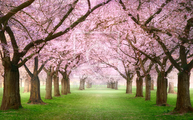 frei w&auml;hlbarer Bildausschnitt f&uuml;r Ihr Bild auf Untersetzer