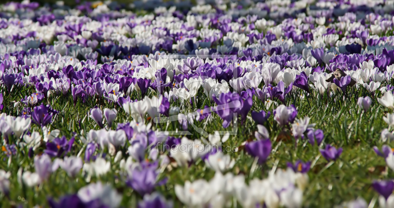 frei w&auml;hlbarer Bildausschnitt f&uuml;r Ihr Bild auf Untersetzer