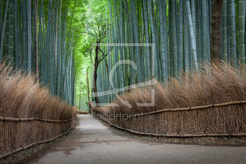 frei w&auml;hlbarer Bildausschnitt f&uuml;r Ihr Bild auf Untersetzer
