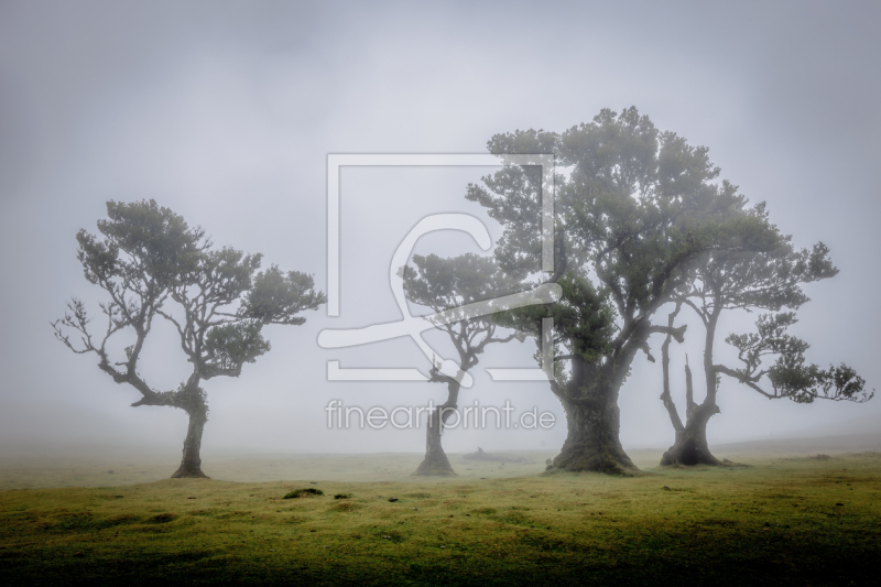 frei w&auml;hlbarer Bildausschnitt f&uuml;r Ihr Bild auf Untersetzer