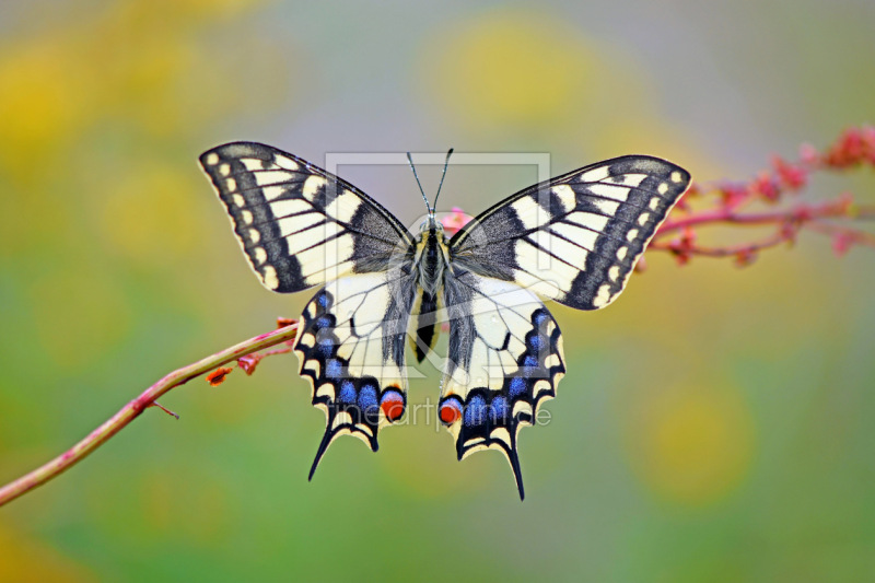 frei w&auml;hlbarer Bildausschnitt f&uuml;r Ihr Bild auf Untersetzer