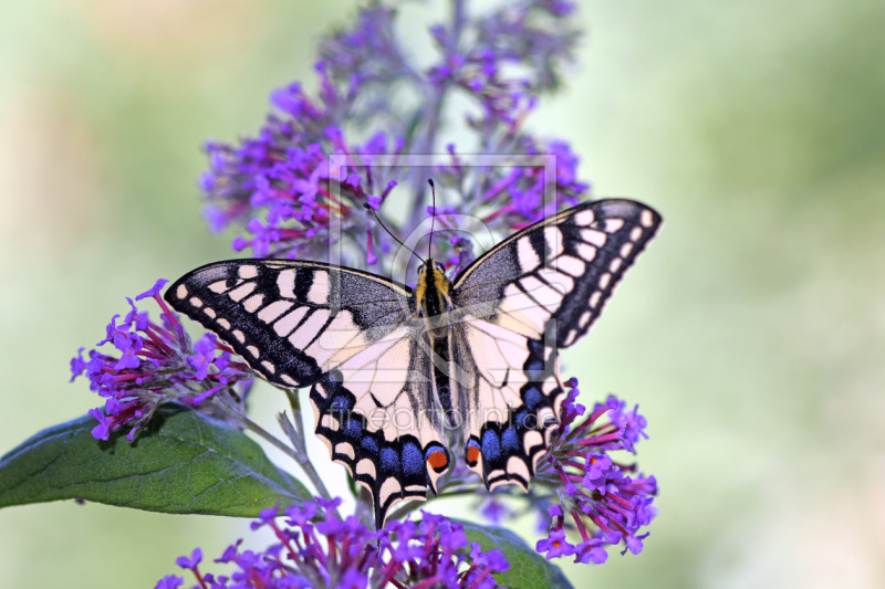frei w&auml;hlbarer Bildausschnitt f&uuml;r Ihr Bild auf Untersetzer