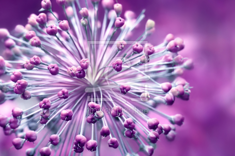 frei w&auml;hlbarer Bildausschnitt f&uuml;r Ihr Bild auf Untersetzer