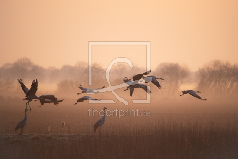 frei w&auml;hlbarer Bildausschnitt f&uuml;r Ihr Bild auf Untersetzer
