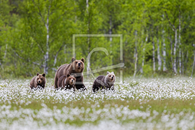 frei w&auml;hlbarer Bildausschnitt f&uuml;r Ihr Bild auf Untersetzer