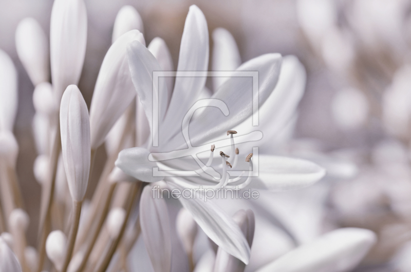 frei w&auml;hlbarer Bildausschnitt f&uuml;r Ihr Bild auf Untersetzer