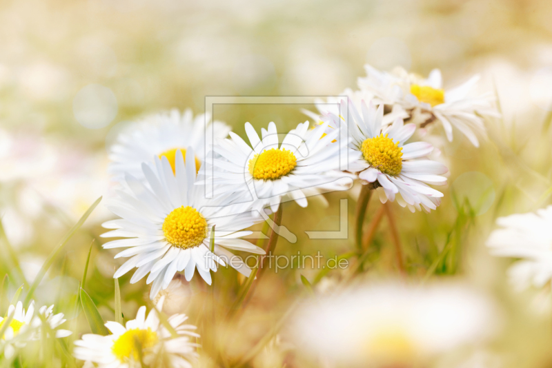 frei w&auml;hlbarer Bildausschnitt f&uuml;r Ihr Bild auf Untersetzer