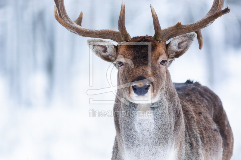frei w&auml;hlbarer Bildausschnitt f&uuml;r Ihr Bild auf Untersetzer