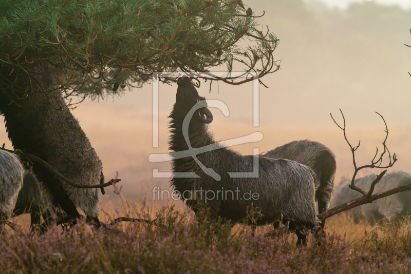 frei w&auml;hlbarer Bildausschnitt f&uuml;r Ihr Bild auf Untersetzer