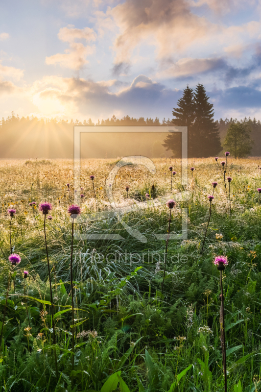 frei w&auml;hlbarer Bildausschnitt f&uuml;r Ihr Bild auf Untersetzer