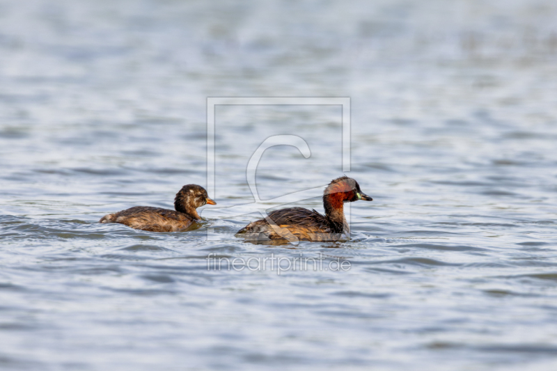 frei w&auml;hlbarer Bildausschnitt f&uuml;r Ihr Bild auf Untersetzer