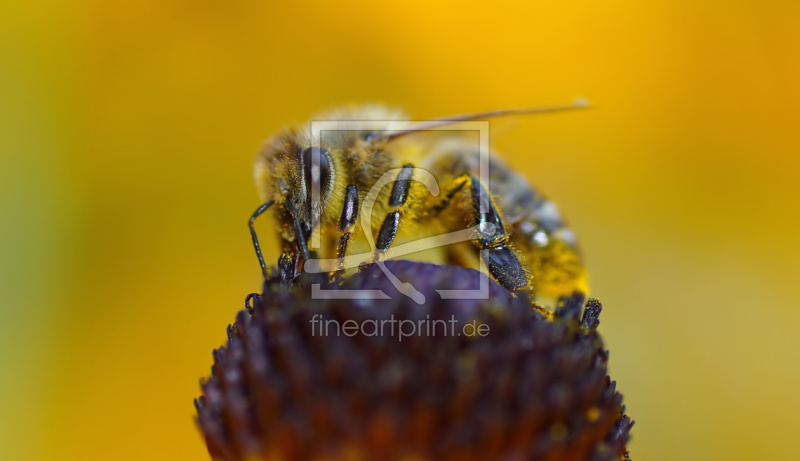 frei w&auml;hlbarer Bildausschnitt f&uuml;r Ihr Bild auf Untersetzer