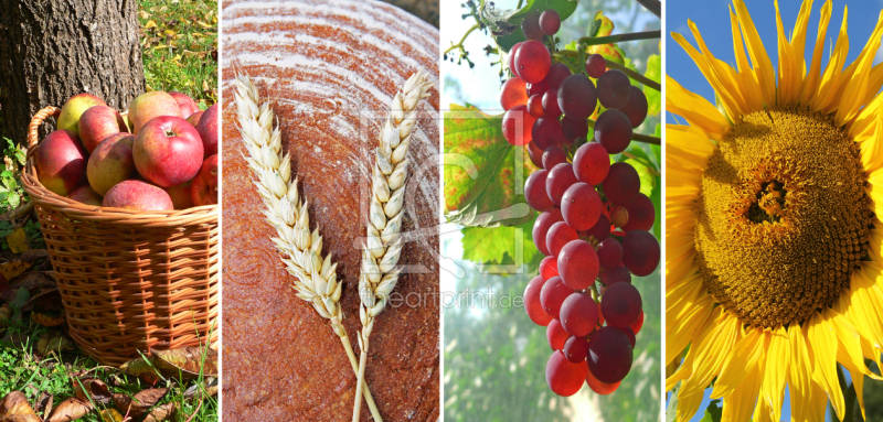 frei w&auml;hlbarer Bildausschnitt f&uuml;r Ihr Bild auf Untersetzer