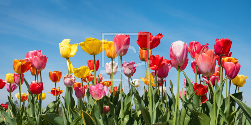 frei w&auml;hlbarer Bildausschnitt f&uuml;r Ihr Bild auf Untersetzer