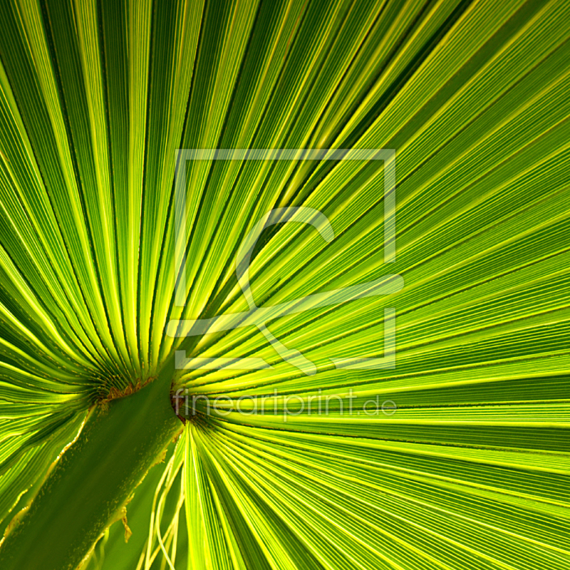 frei w&auml;hlbarer Bildausschnitt f&uuml;r Ihr Bild auf Untersetzer