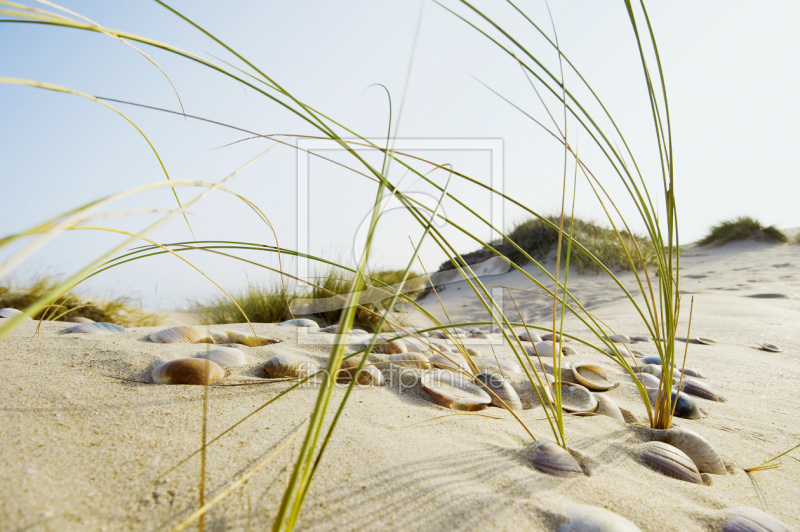 frei w&auml;hlbarer Bildausschnitt f&uuml;r Ihr Bild auf Untersetzer