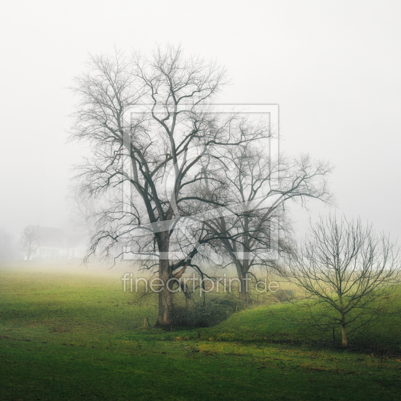 frei w&auml;hlbarer Bildausschnitt f&uuml;r Ihr Bild auf Untersetzer