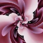 /user/163010/userimage/userImage_163010.jpg