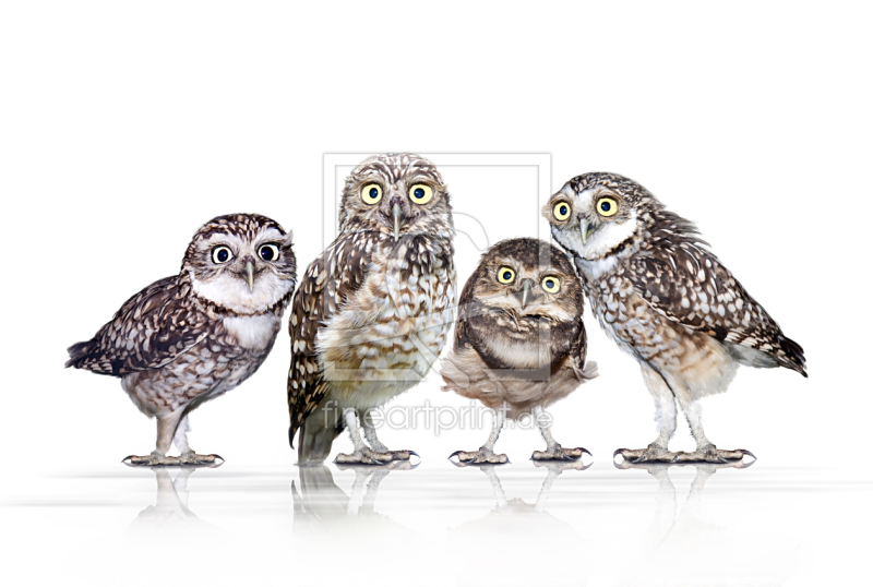 freely selectable image excerpt for your image on Window Foil