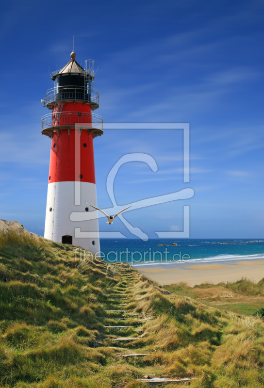 freely selectable image excerpt for your image on Window Foil