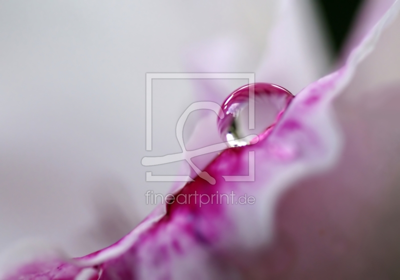 freely selectable image excerpt for your image on Window Foil