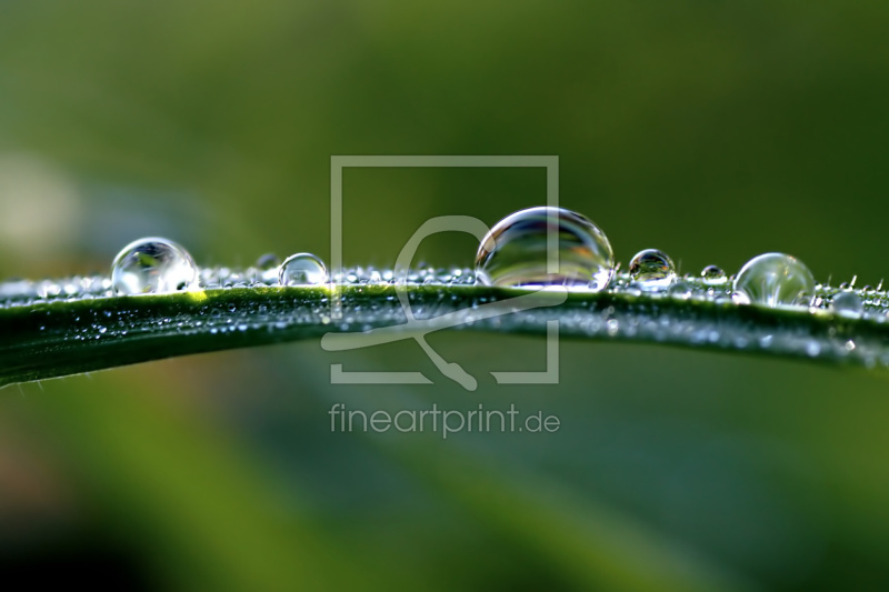 freely selectable image excerpt for your image on Window Foil