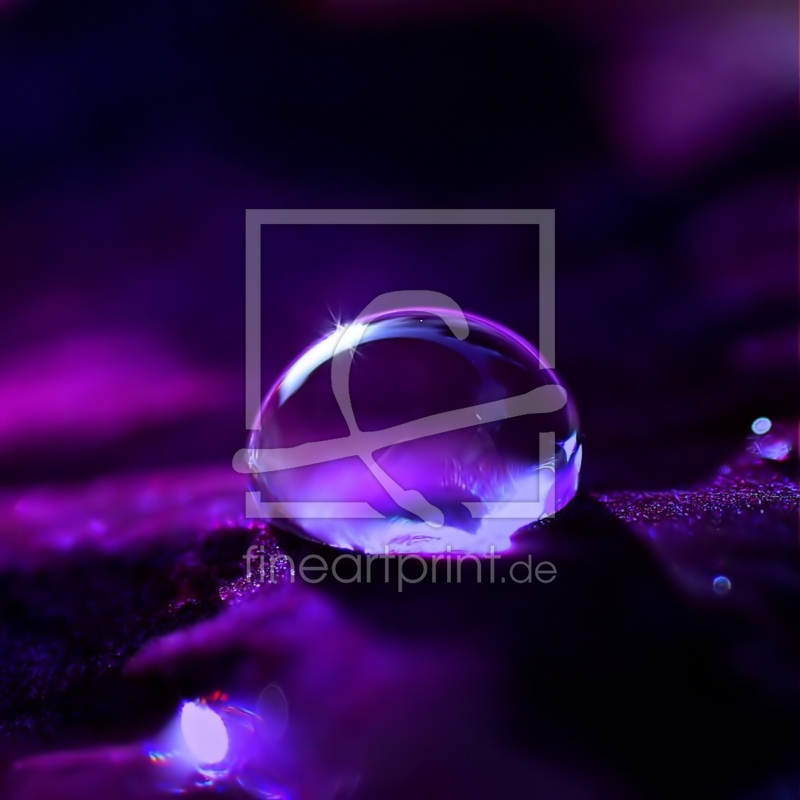 freely selectable image excerpt for your image on Window Foil