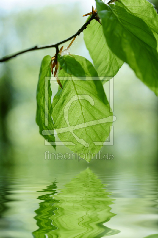 freely selectable image excerpt for your image on Window Foil