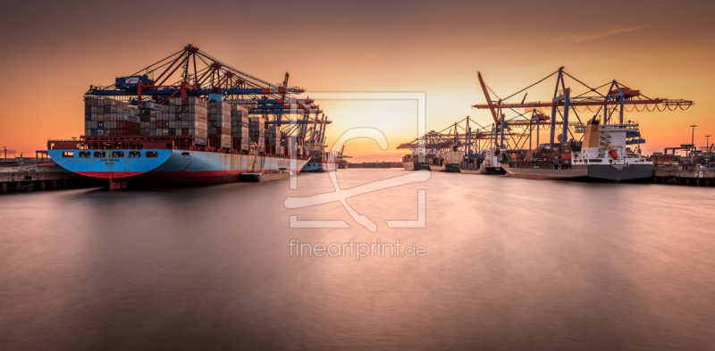 freely selectable image excerpt for your image on Window Foil