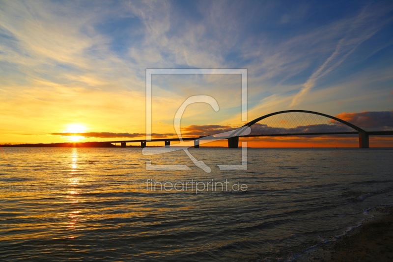 freely selectable image excerpt for your image on Window Foil