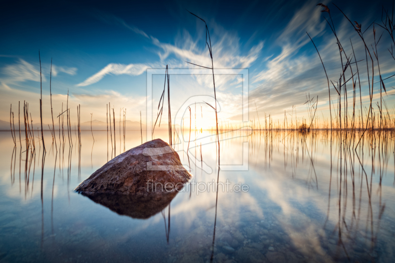 freely selectable image excerpt for your image on Window Foil