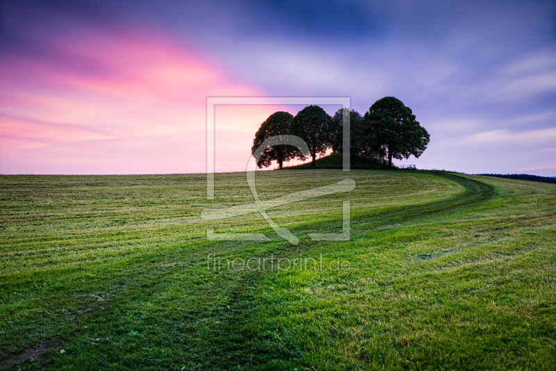 freely selectable image excerpt for your image on Window Foil