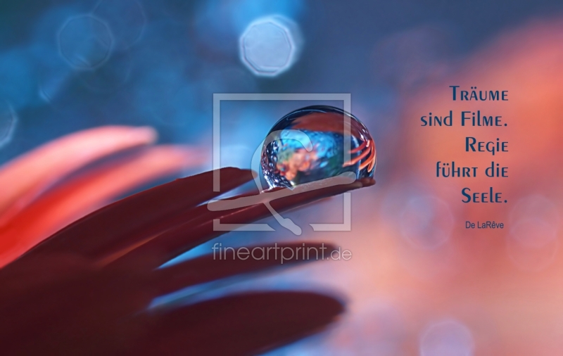 freely selectable image excerpt for your image on Window Foil