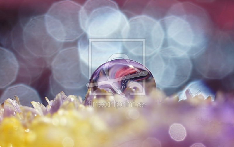 freely selectable image excerpt for your image on Window Foil