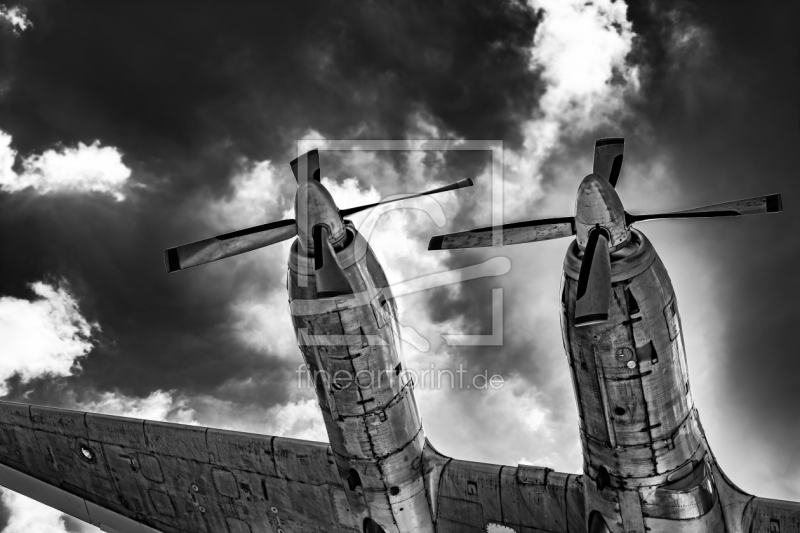 freely selectable image excerpt for your image on Window Foil