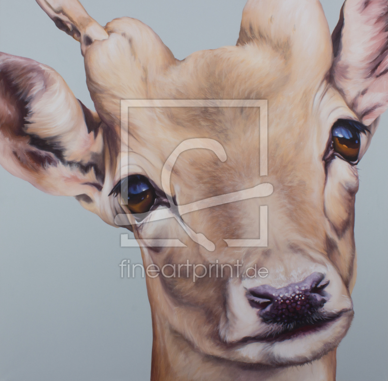 freely selectable image excerpt for your image on Window Foil