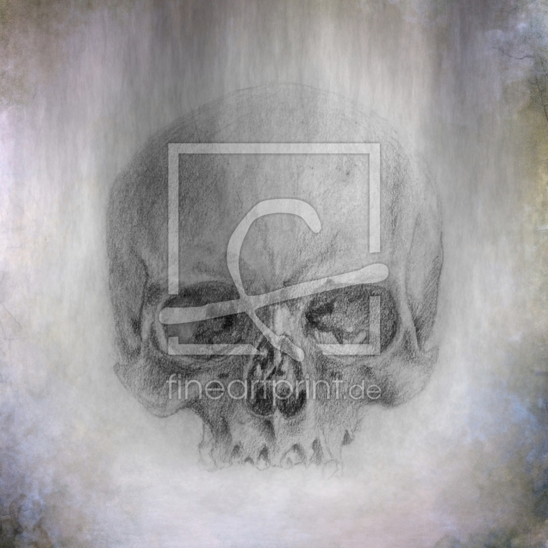 freely selectable image excerpt for your image on Window Foil