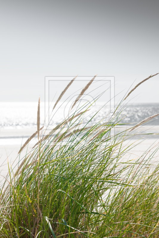 freely selectable image excerpt for your image on Window Foil