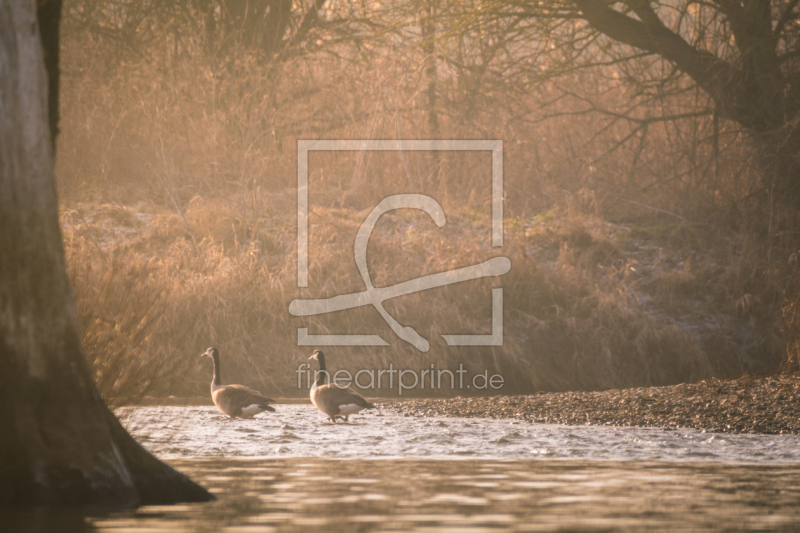 freely selectable image excerpt for your image on Window Foil