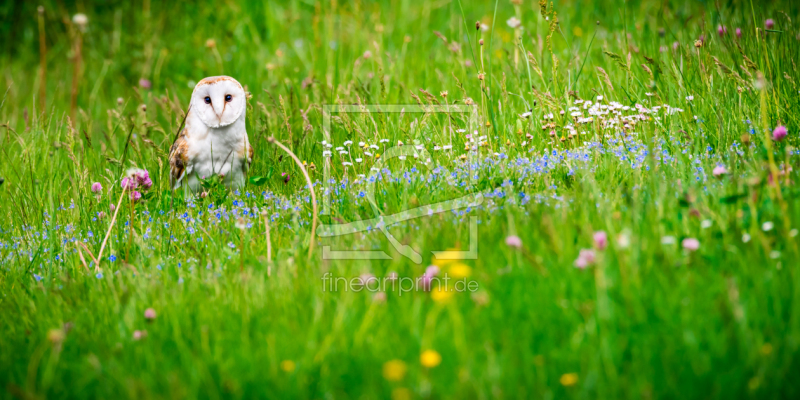 freely selectable image excerpt for your image on Window Foil