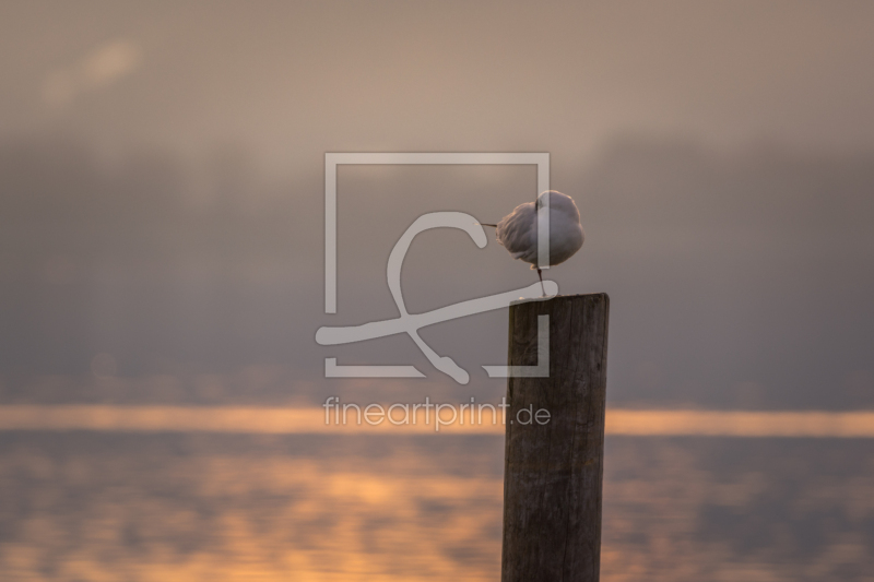 freely selectable image excerpt for your image on Window Foil