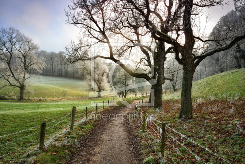 freely selectable image excerpt for your image on Window Foil