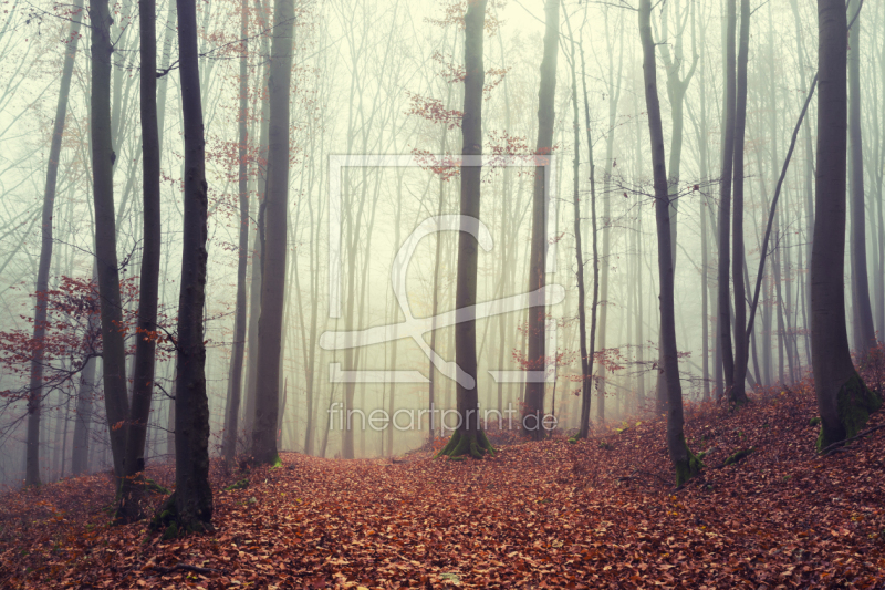 freely selectable image excerpt for your image on Window Foil