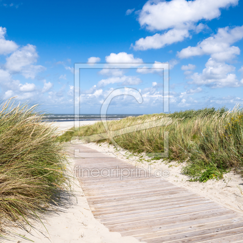 freely selectable image excerpt for your image on Window Foil