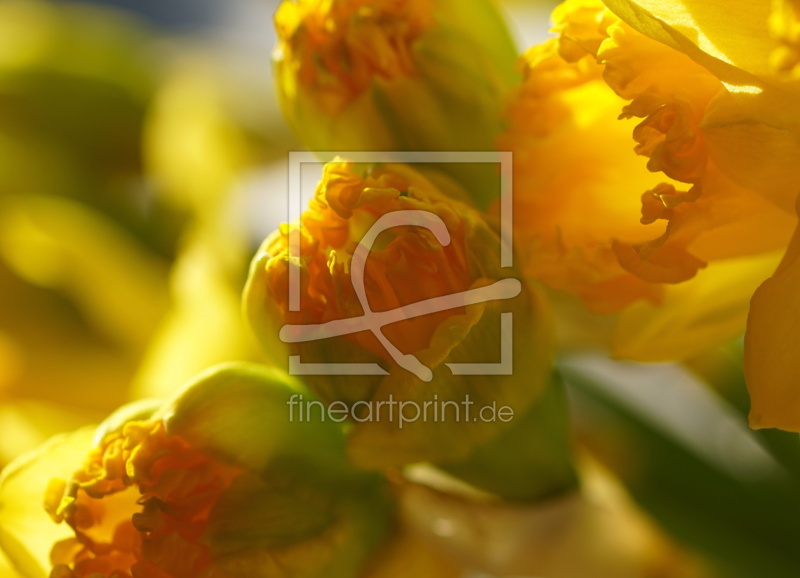 freely selectable image excerpt for your image on Window Foil