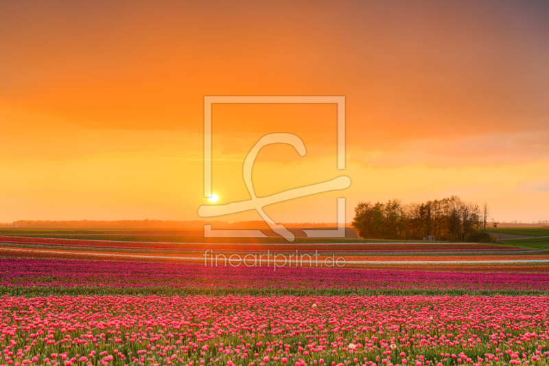 freely selectable image excerpt for your image on Window Foil